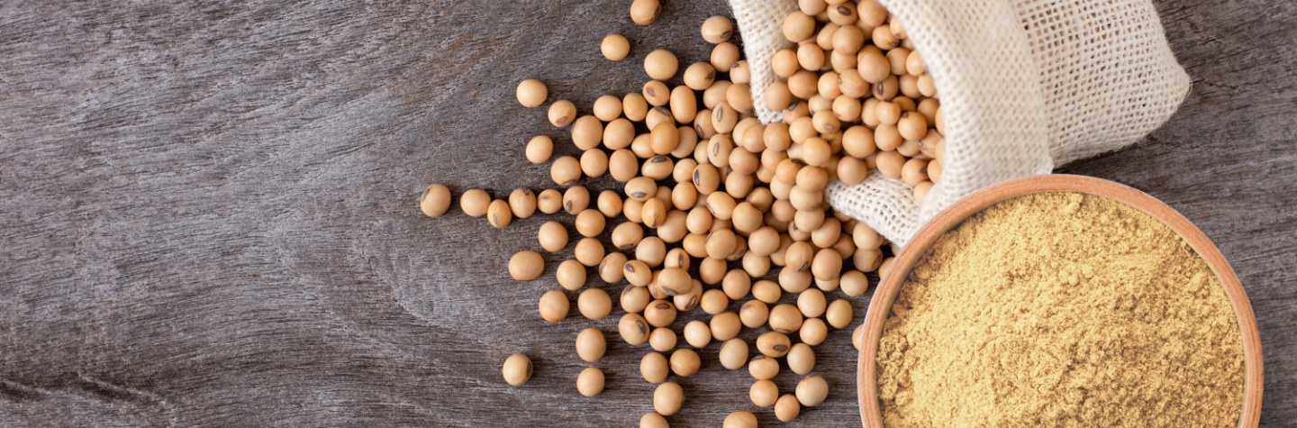 Sojaprotein
Soja protein
Vegansk protein